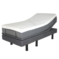 Golden Passport Split Twin XL bed only thumbnail