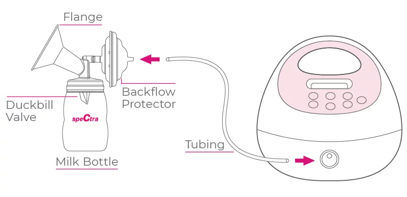 spectra s2 plus assembly diagram